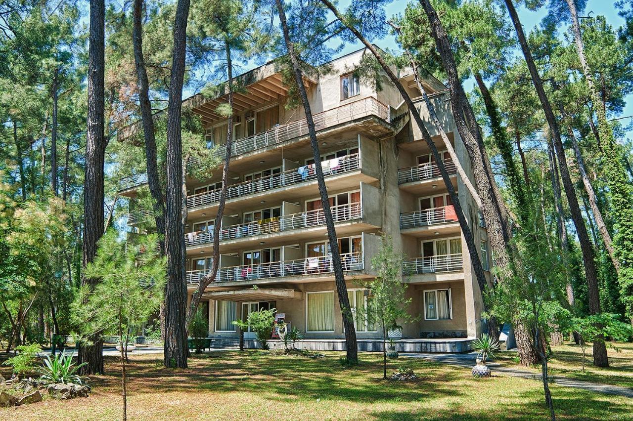 Gosdacha Ldzaa Hotel Lidzava Exterior photo